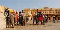 elephant ride at amber fort