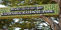 kaziranga national park