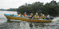 boat safari in madu river