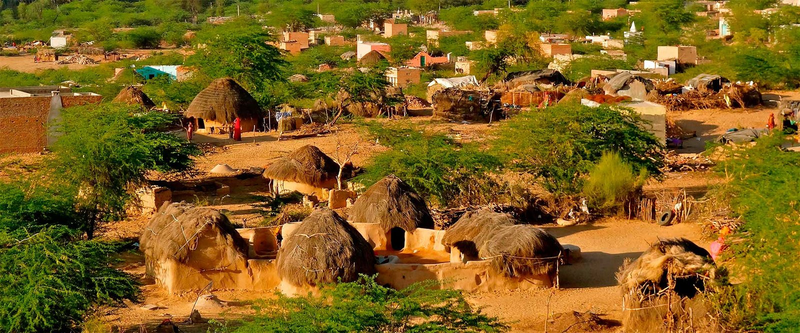 rural rajasthan