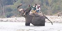 elephant safari in jim corbett