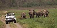 jim corbett jeep safari