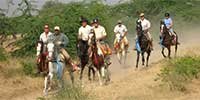 horse safari in ranakpur