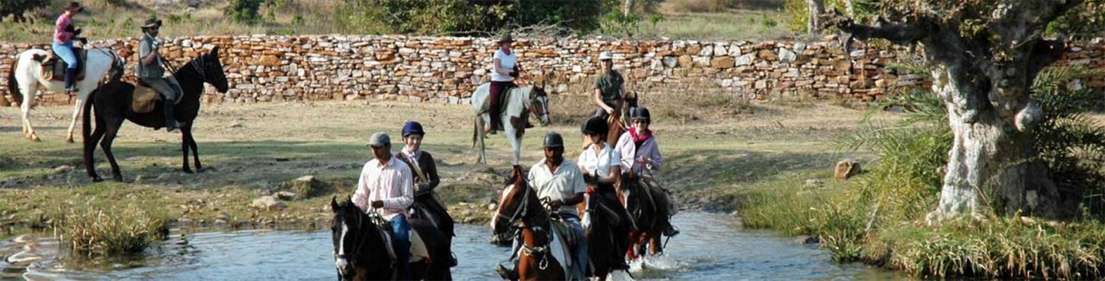 horse safari in india