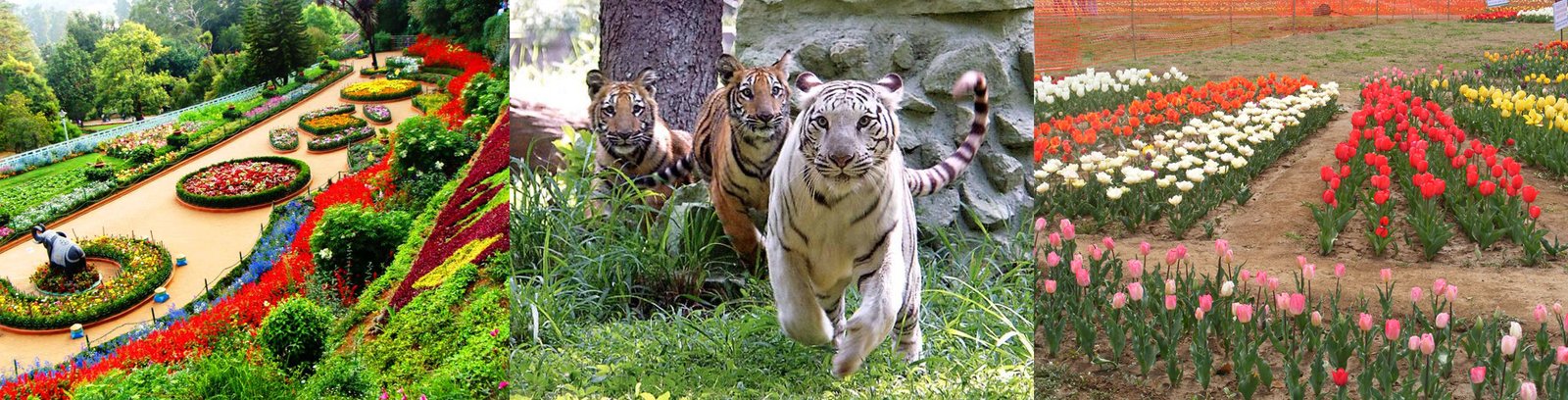 south indian fantasy